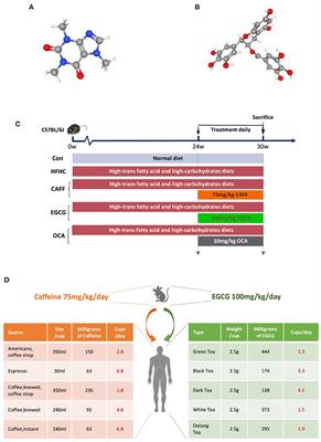 Caffeine and EGCG Alleviate High-Trans Fatty Acid and High-Carbohydrate Diet-Induced NASH in Mice: Commonality and Specificity